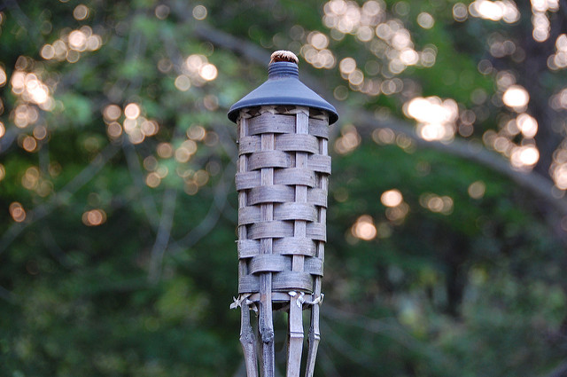 537528745_9b72562c05_z